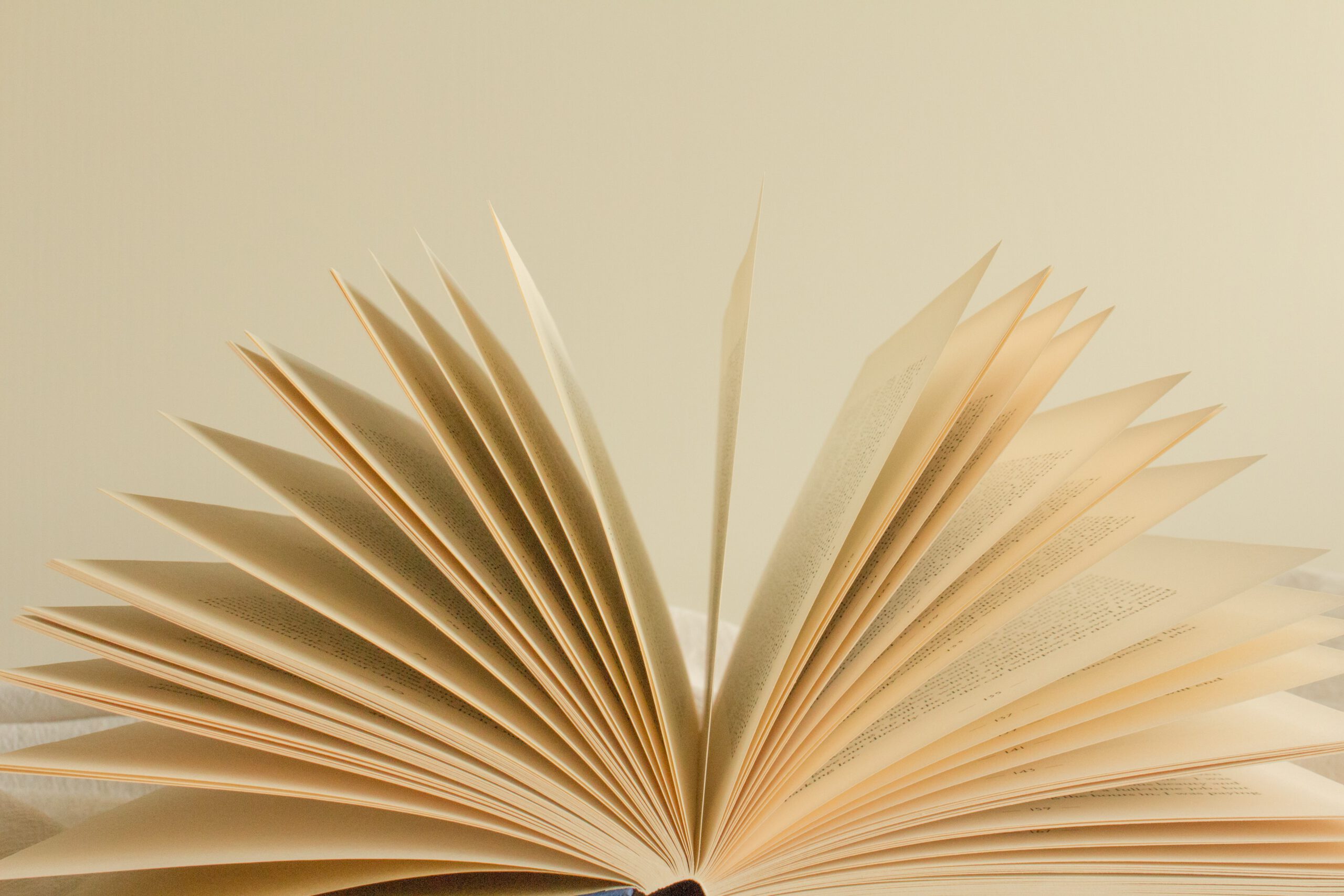 buch-aufgeschlagen4